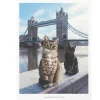Outlet Cats At Tower Bridge Print Prints & Posters | Tower Bridge Gifts