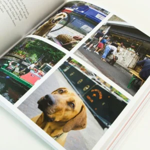 Best Sale London For Dogs Book Books About London | Dog Accessories